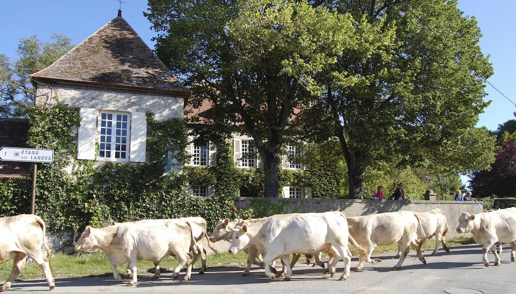 Le Mas D'En Haut Lussat Zewnętrze zdjęcie